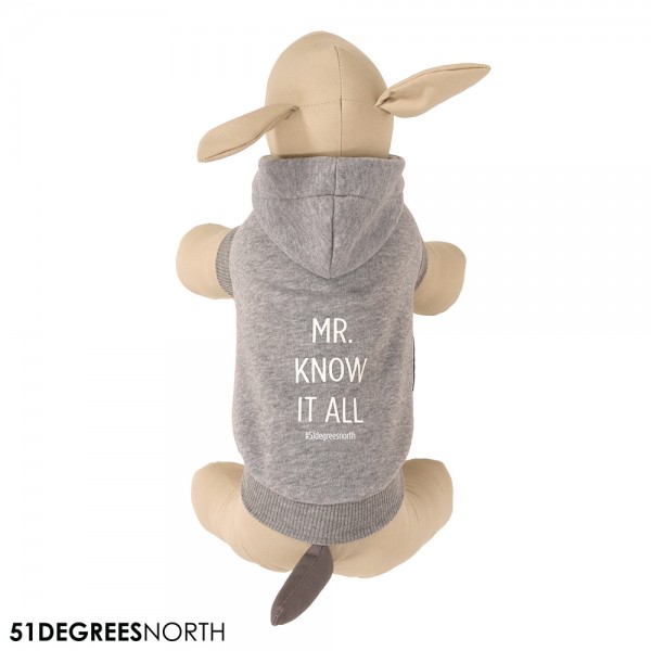 51DN Sweater Hoodie - Light Grey Größe