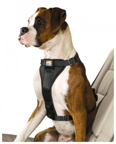 Kurgo Enhanced Tru-Fit-Smart Geschirr - schwarz Größe