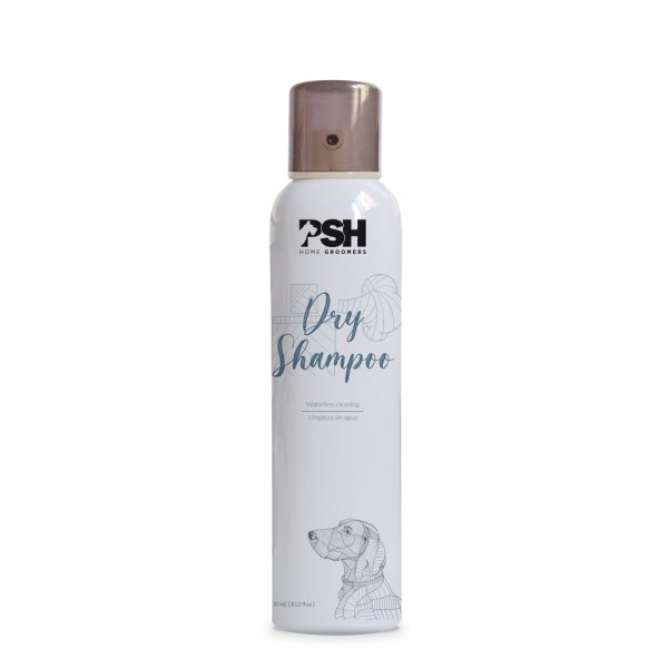 PSH Dry Shampoo 300ml