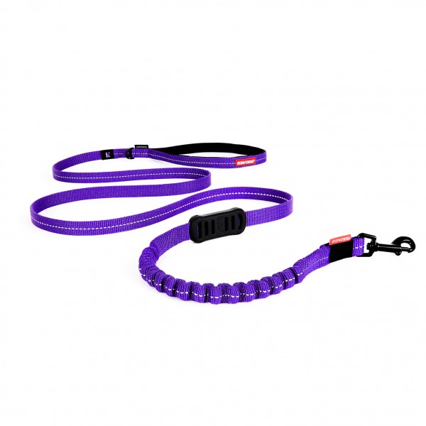 EzyDog Zero Shock Lite Leine- purple