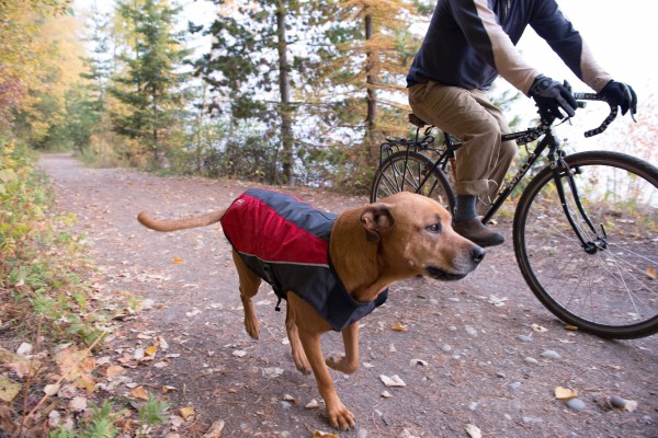 EzyDog Element Jacket Scarlet Hundemantel - rot-anthrazit Größe